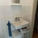 Grosse Moderne Penthouse Mit Dachterrasse Appartement